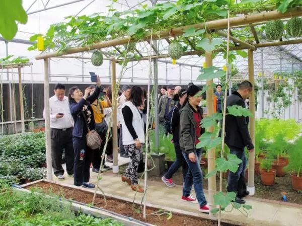 我想和你在漳州做完这一百件事情