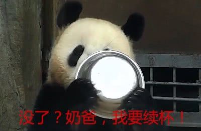 蚩尤骑熊猫战败图,当年蚩尤真的是骑着熊猫打仗的吗