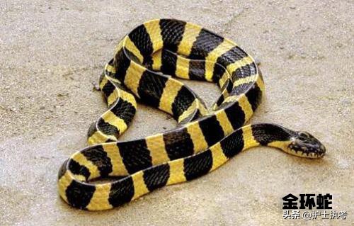 护士执业资格考试中级,护士执业资格考试网上报名