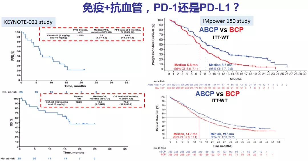 非小细胞肺癌抗血管生成药物治疗,抗血管生成素治疗肺癌