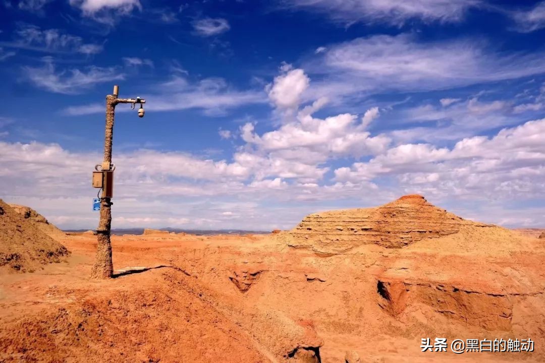 都说新疆好去新疆发展可靠么,都说新疆好地方