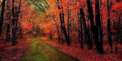 没钱没背景,怎样才能成功?