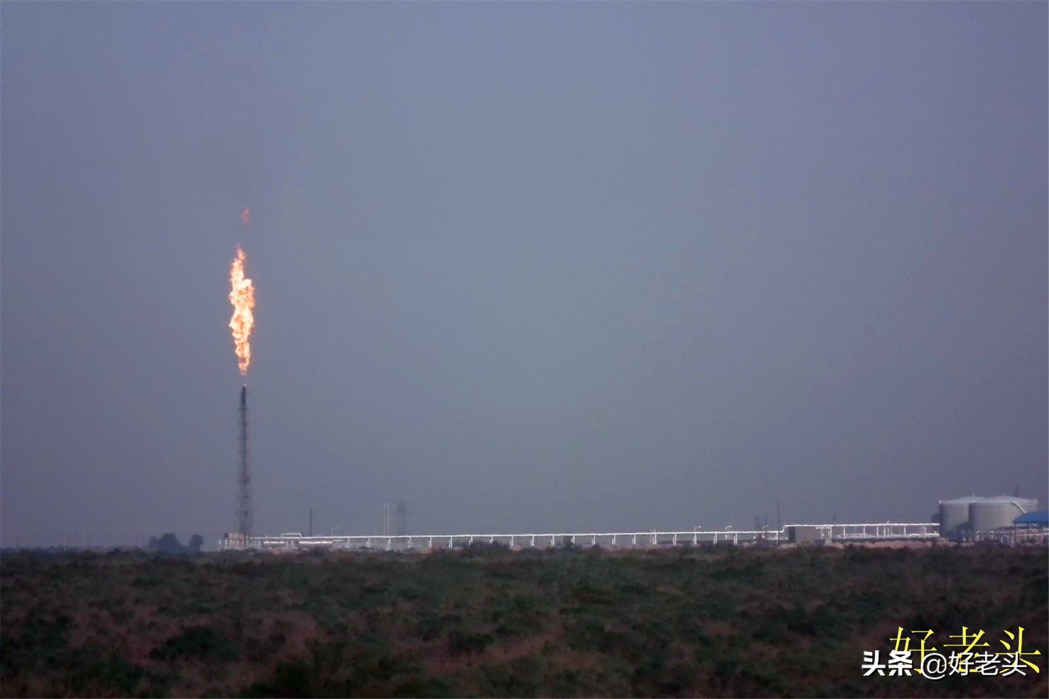 库尔勒轮台胡杨林风景区,胡杨林景区轮台