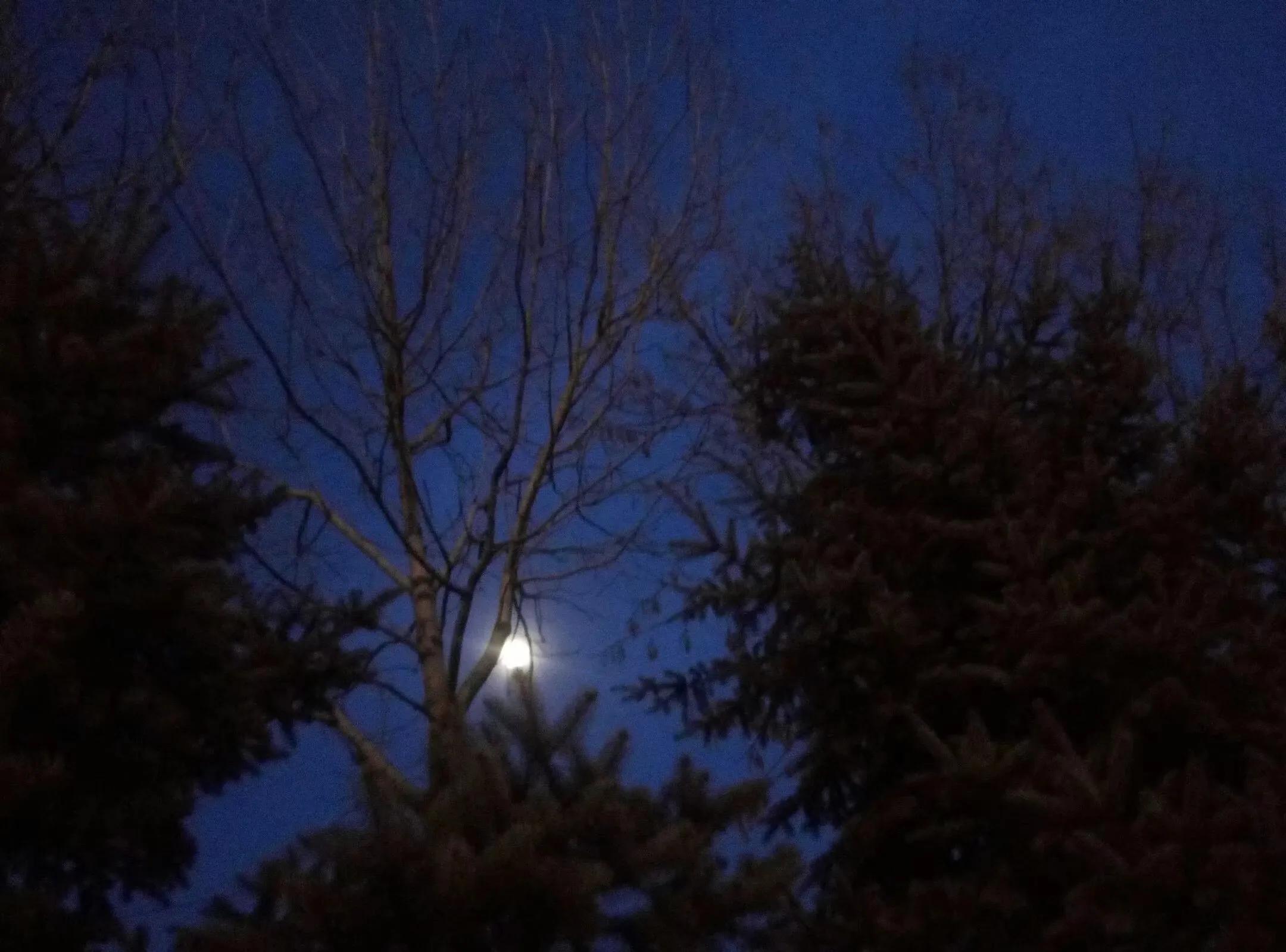 月是故乡明抒情散文,月是故乡明随笔