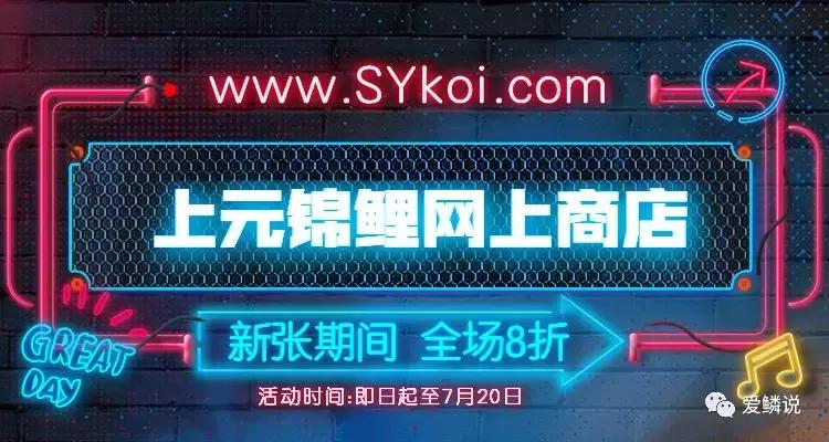 全场八折优惠活动正在火爆进行中,锦鲤网上商城