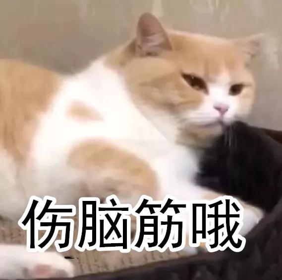 频繁换干净的内裤可以避免妇科病,没洗过的裤子穿了容易得妇科病吗