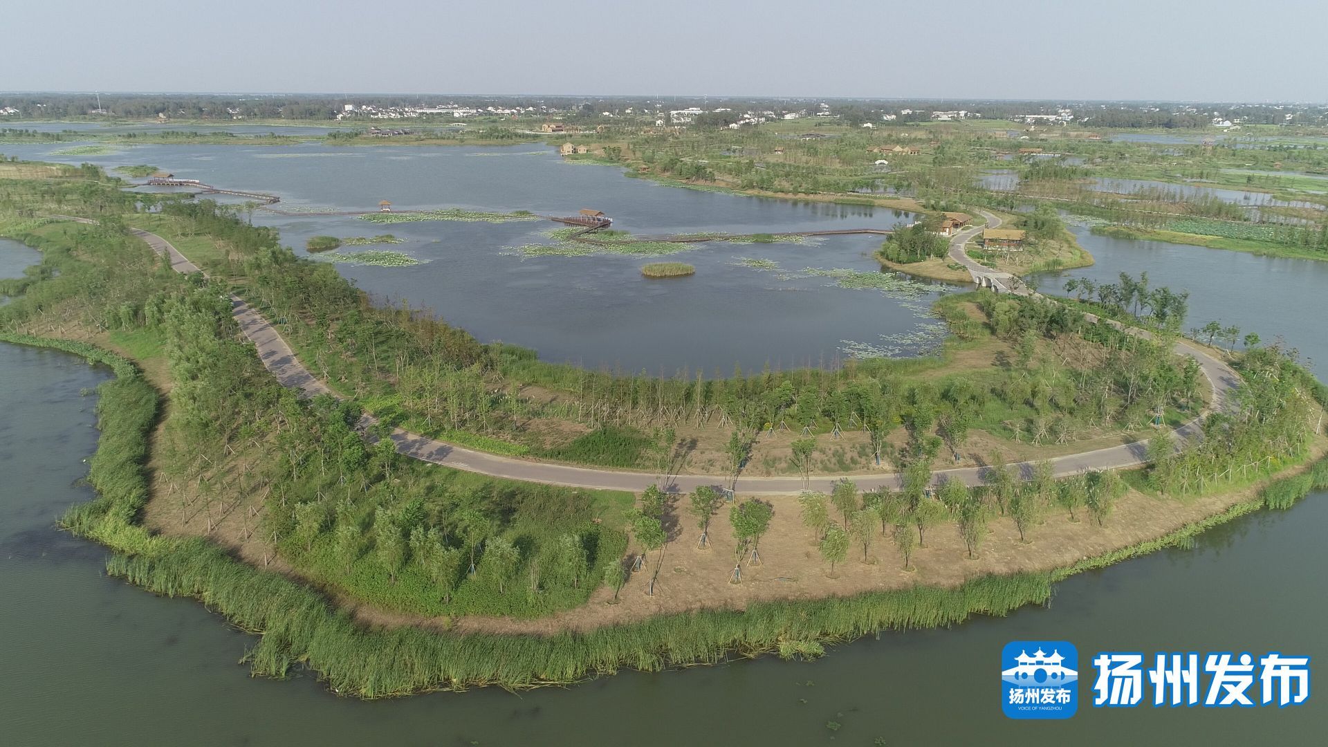 体验“森呼吸”，拥抱“林距离”！今年扬州计划造林1.22万亩