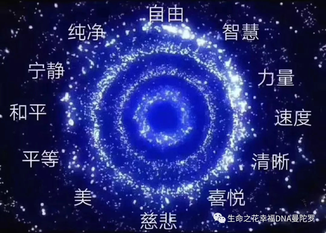 幸福dna曼陀罗每页解读,幸福dna曼陀罗彩绘是真的吗