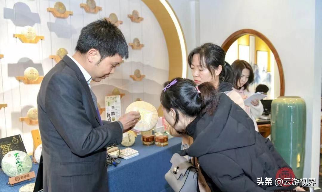 普洱茶投资集团和普洱茶集团,普洱茶投资集团有限公司的茶如何