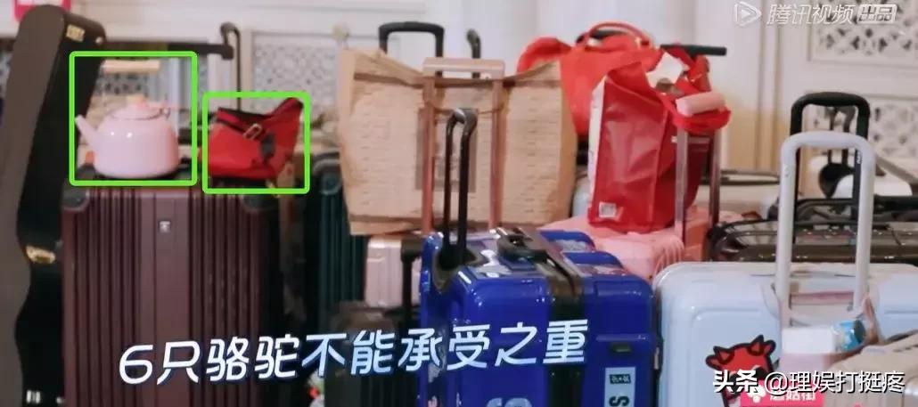 男女明星旅行差异大起底！不看不知道原来我们不一样