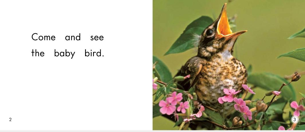 儿童绘本小动物睡前故事,动物宝宝有声绘本推荐0-3岁读绘本