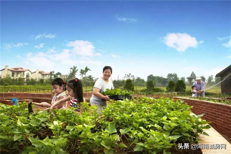 富力红树湾有哪些配套,富力红树湾值得买房么