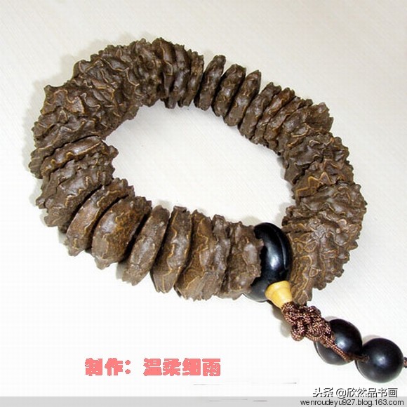 木鱼菩提子的种类全图解,菩提子手串种类图