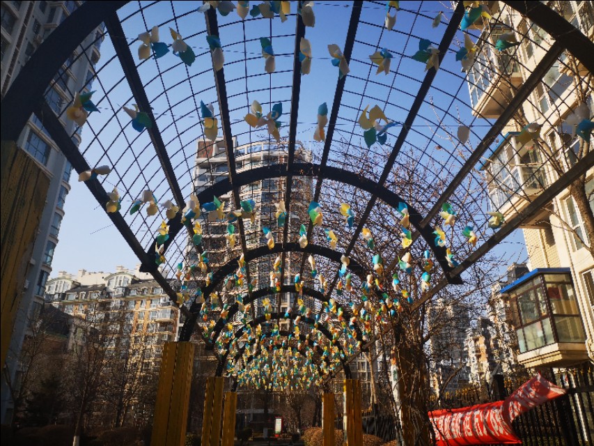 开发区生活气息,开发区生活