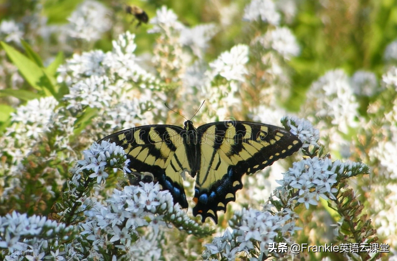 中考英语阅读100篇,中考英语d篇文章