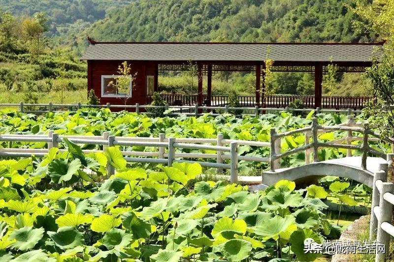 我叫成县，这是我2019年的自拍照