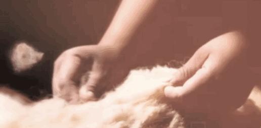 春节直播涨粉100万,一条冰丝裤月售3万条,这些中小商家凭什么?