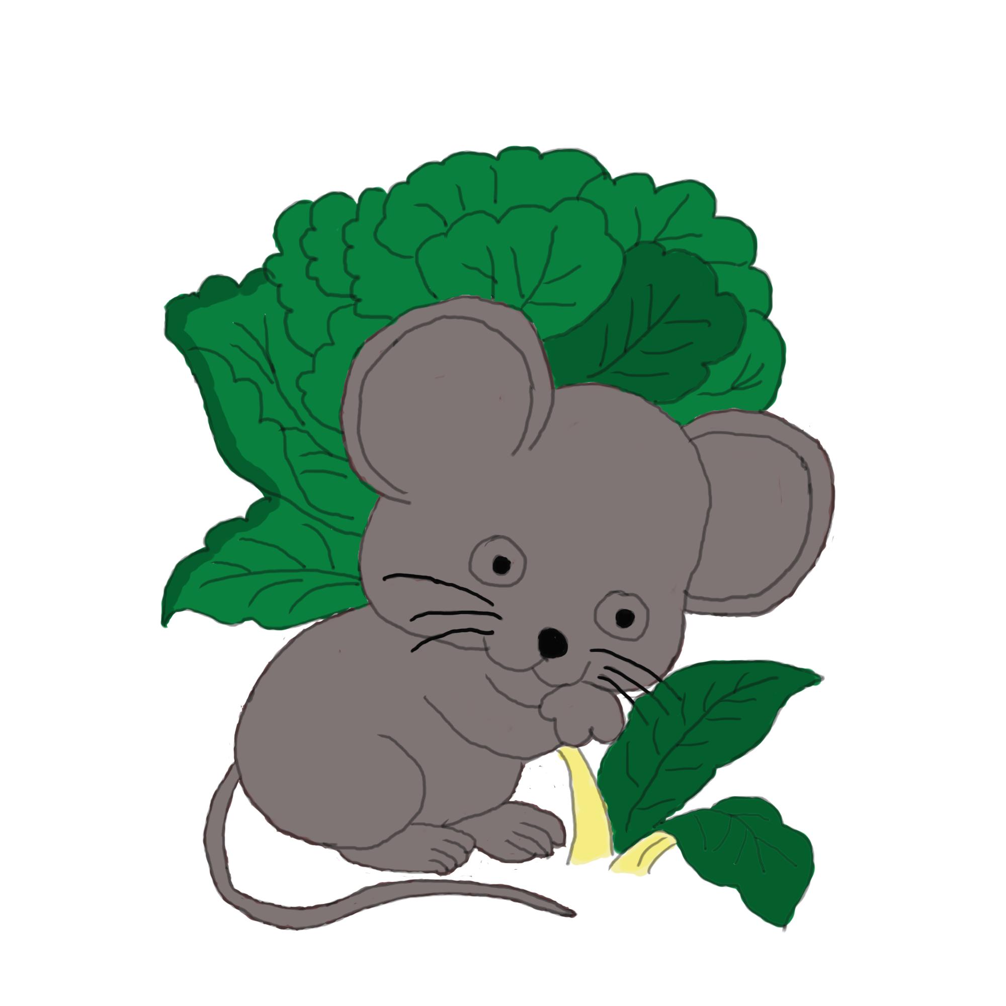 肝癌术后最可怕的并发症，你了解吗？