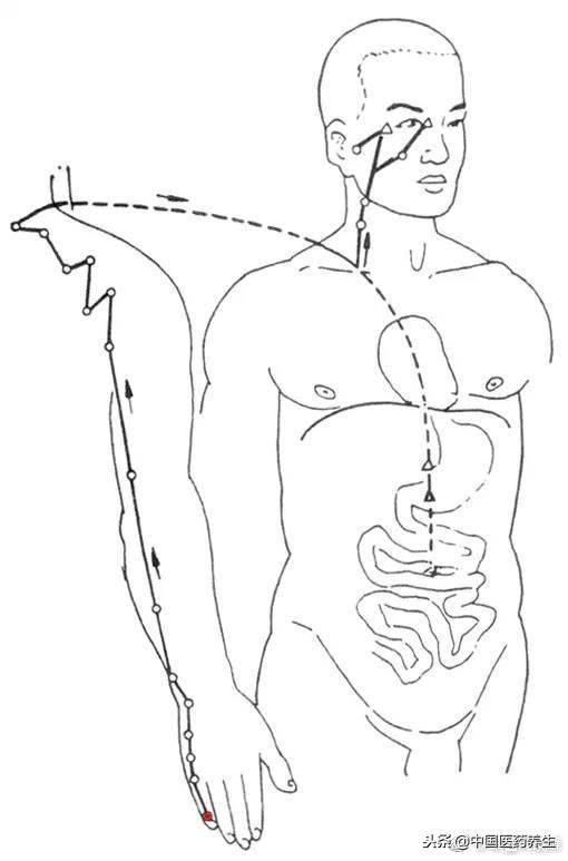 12经络对应12时辰走向图讲解,人体12经络走向位置图详解