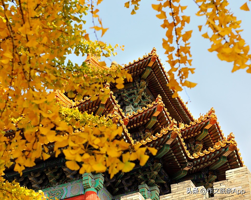 高考58篇必背作文,高考作文轻松拿到55分秘诀