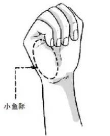 春天养肝的6大原因,春天用什么喝祛湿养肝