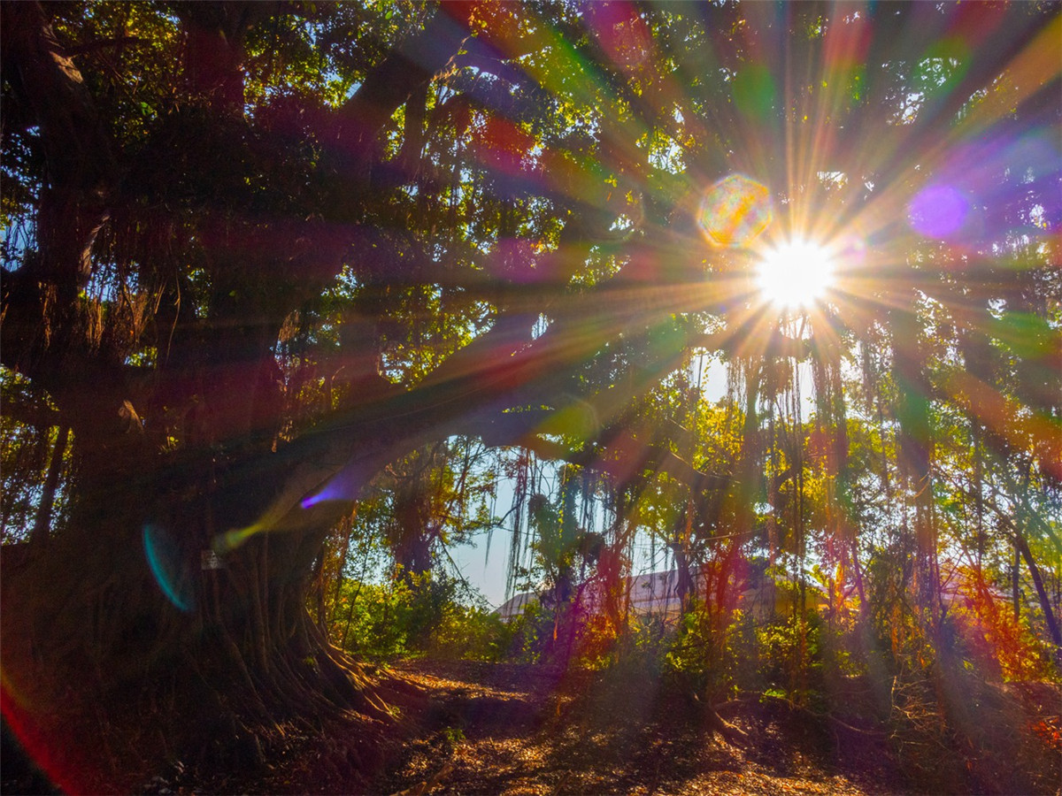 广西北海涠洲岛的火山岛介绍,涠洲岛是中国最年轻的火山岛吗