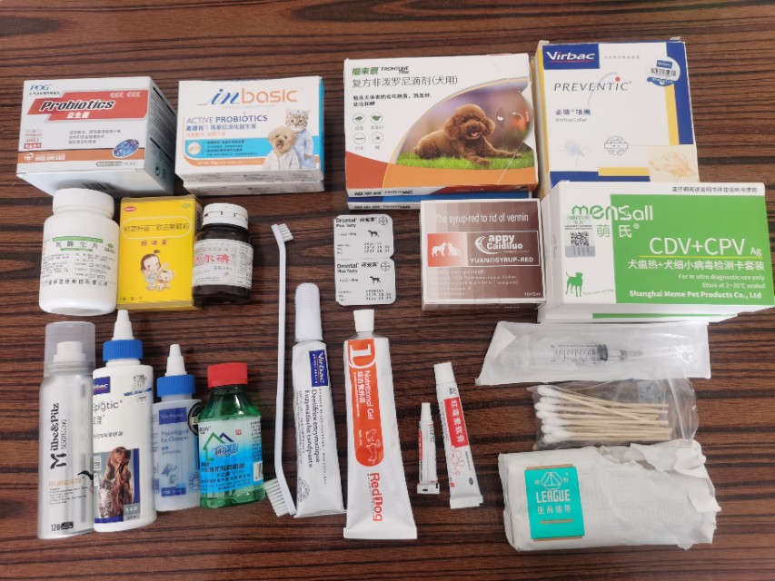 新手养狗指南养狗必备的13件用品,新手铲屎官养狗推荐