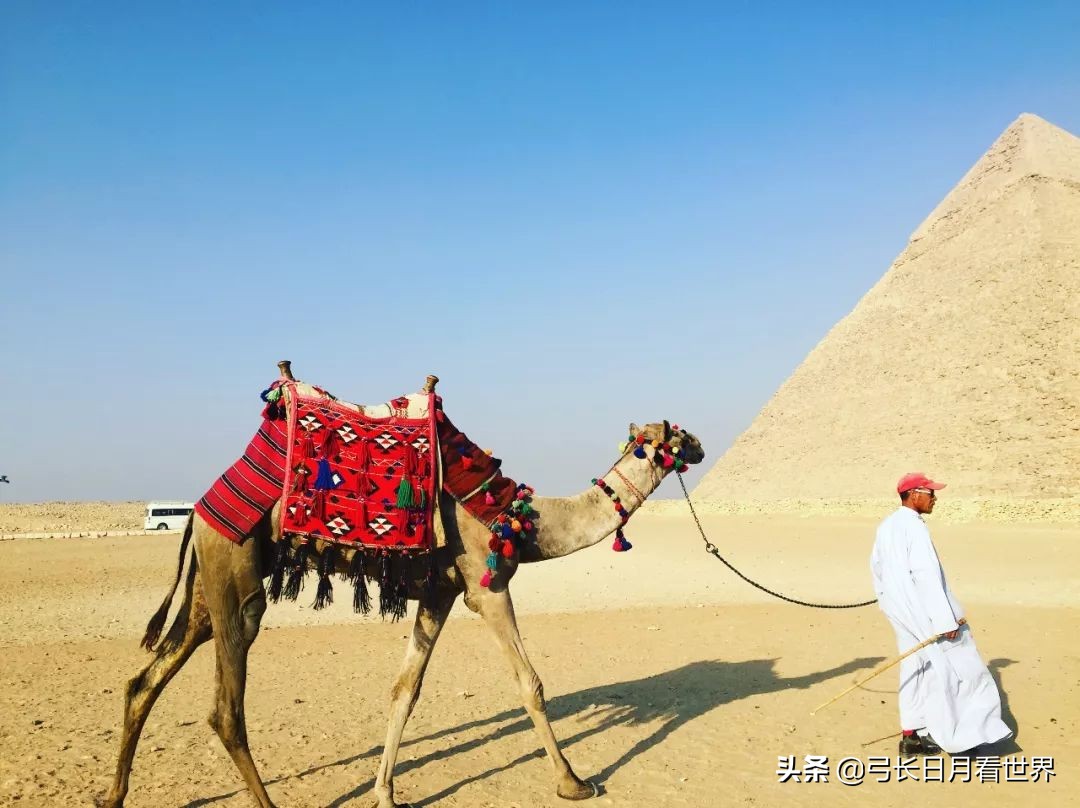 春节长假还在纠结吗？推荐你几个拿起护照就能走的国家