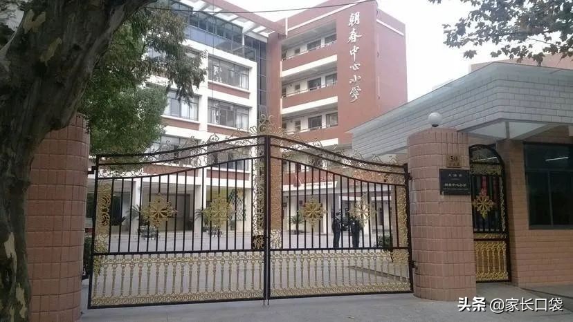 上海热门小学隐藏技：芭蕾、乒乓、游泳、书法、科技……样样有