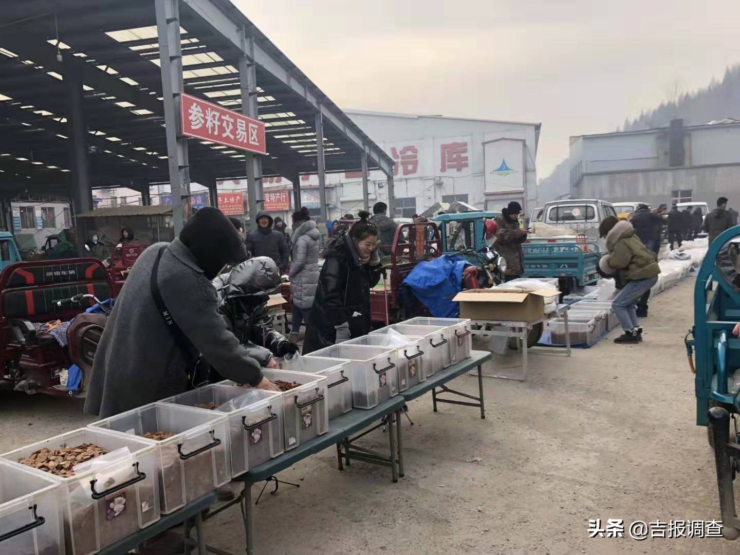 长白山参茸东北土特产,参茸土特产直播