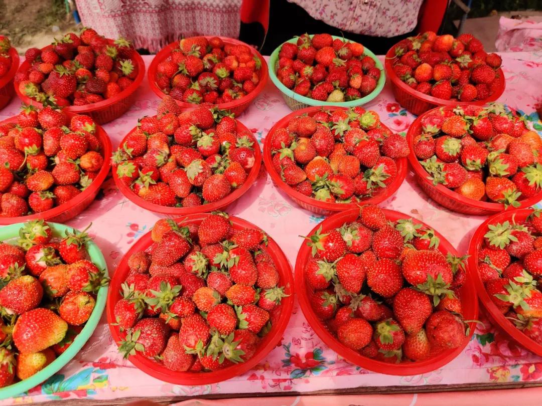 春节吉木萨尔周边游,6月份吉木萨尔周边一日自驾游