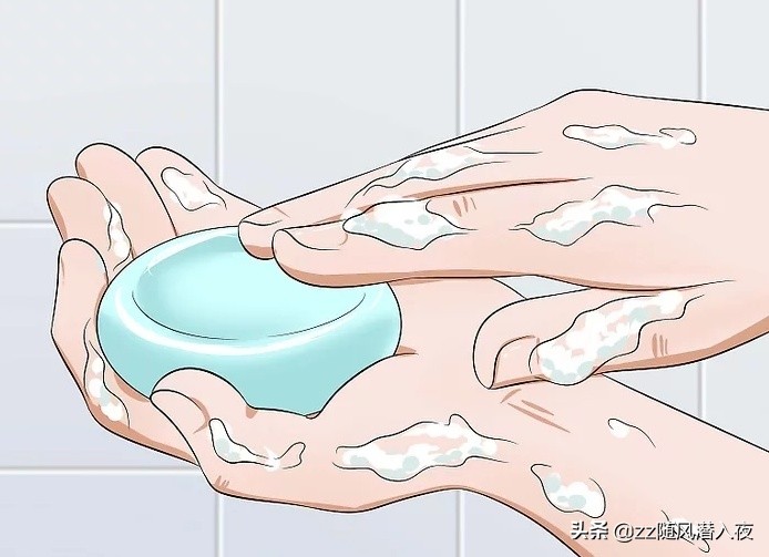 仓鼠饲养八大禁忌,如何饲养一只仓鼠新手版