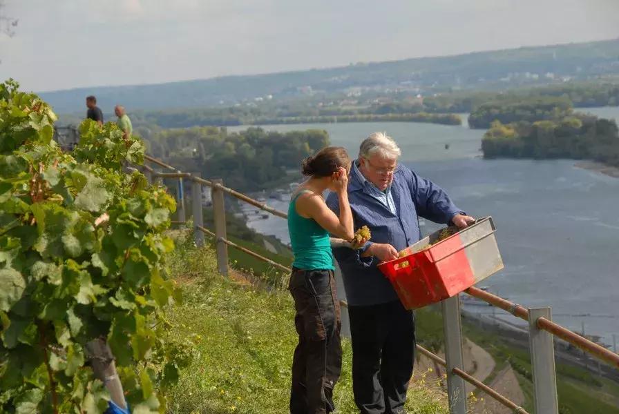 「德国」9天8晚深“德”我心之旅,1350新币起带你畅游德国