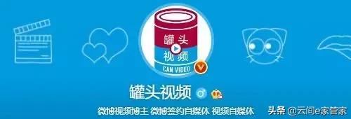 没想到这些大号他们“制造”出来的，这些大号你关注了哪些呢？