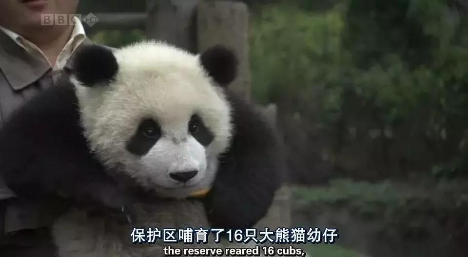 必看纪录片推荐建议收藏,推荐10部必看纪录片