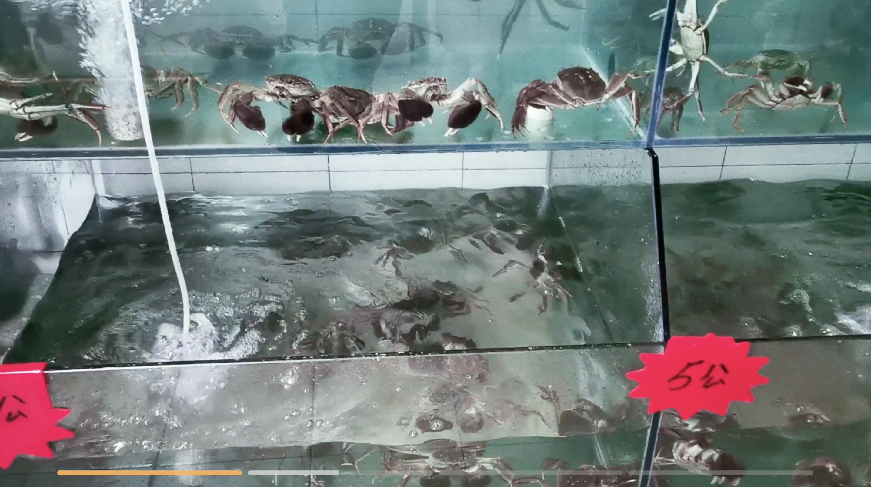 出门自驾游用不用安装车顶行李箱,加装车顶行李箱自驾游