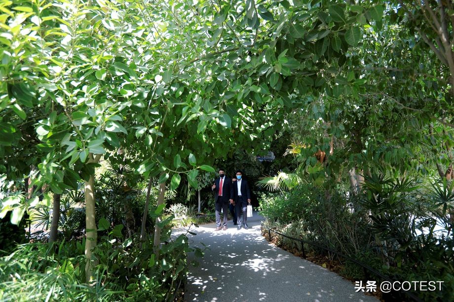 迪拜世博会拍照,迪拜世博会那些惊艳的世博馆