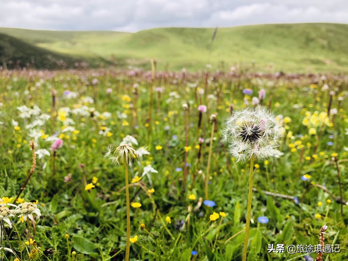 我的2020自驾318旅行回顾 (318国道之旅感慨)