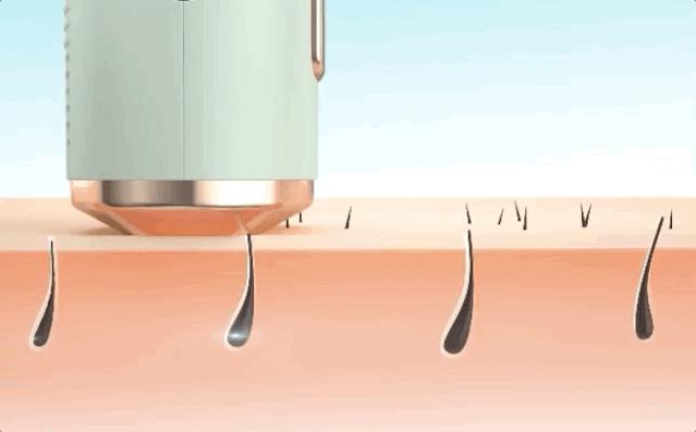 章小蕙推荐的小物件,章小蕙同款护发好物