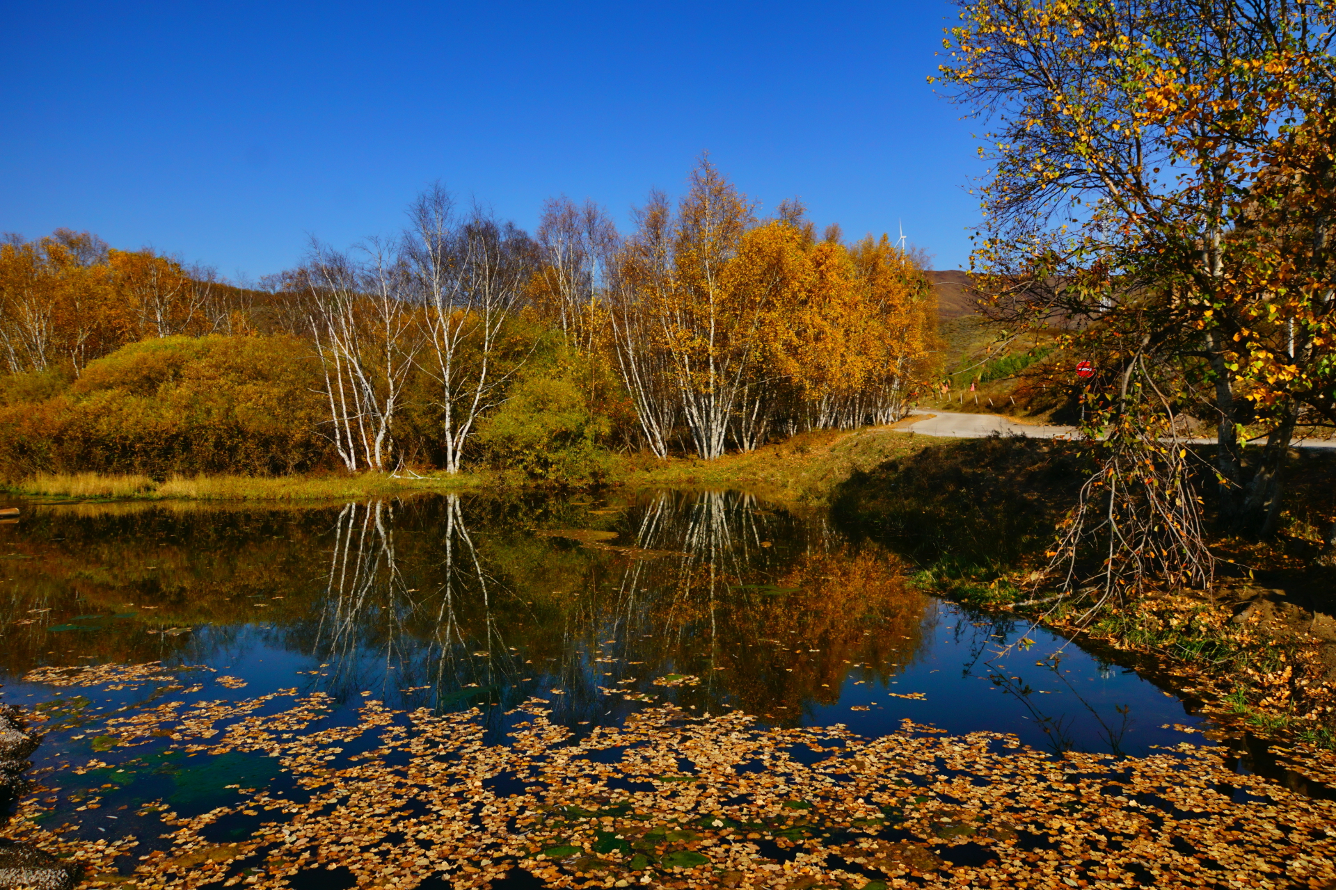 京北第一天路千松坝国家森林公园,千松坝森林公园和京北第一天路