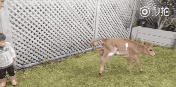 06“超女”重聚风波：王者和青铜到底哪里不一样？