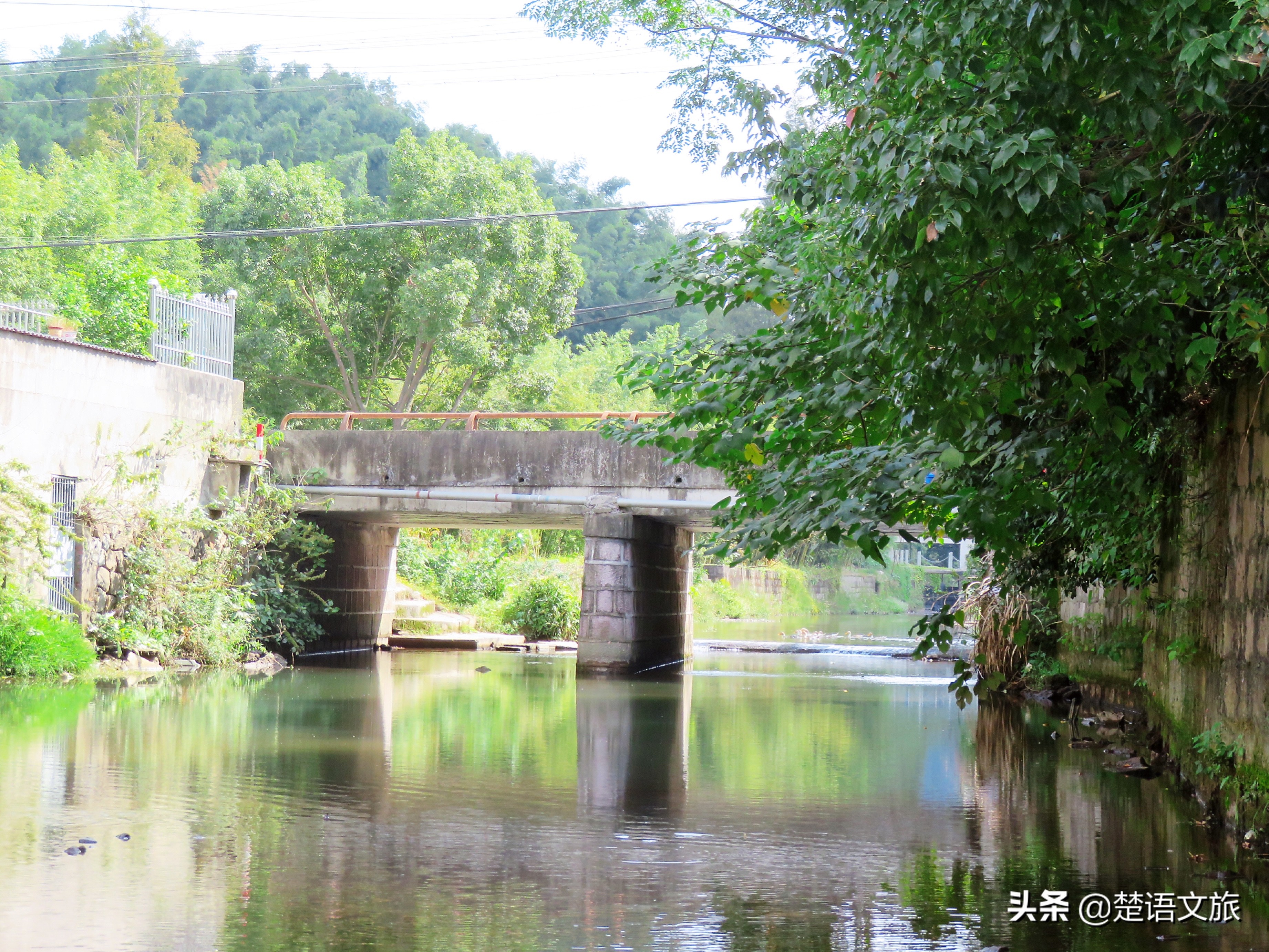 盛产杨梅而闻名的县是哪里,杨梅之乡余姚在什么省