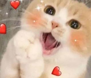 天猫无货源怎么去选品广场,解析天猫无货源的实操方法