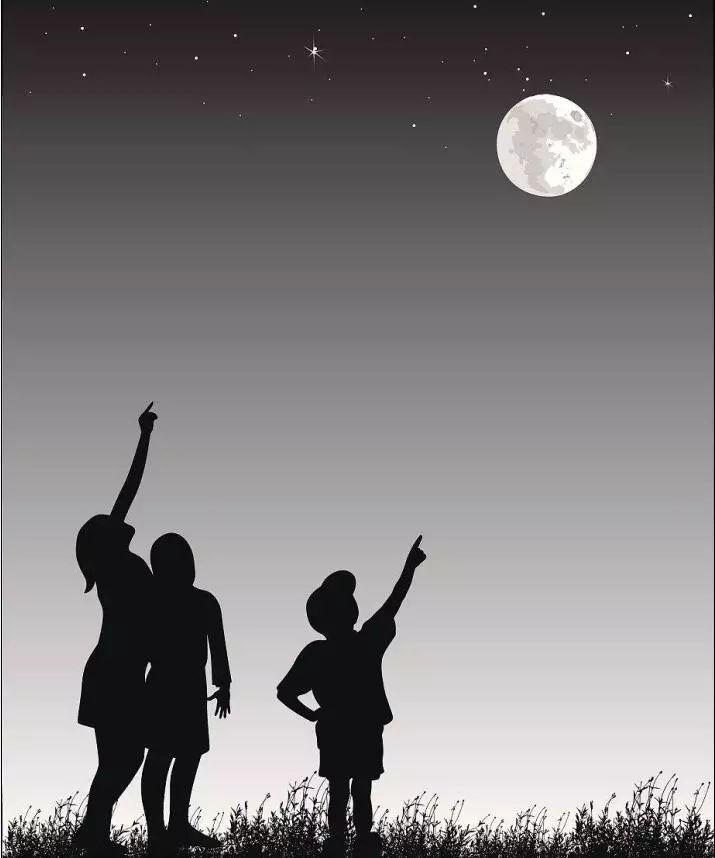 其实绿叶也很耐看,其实绿叶也很美的句子