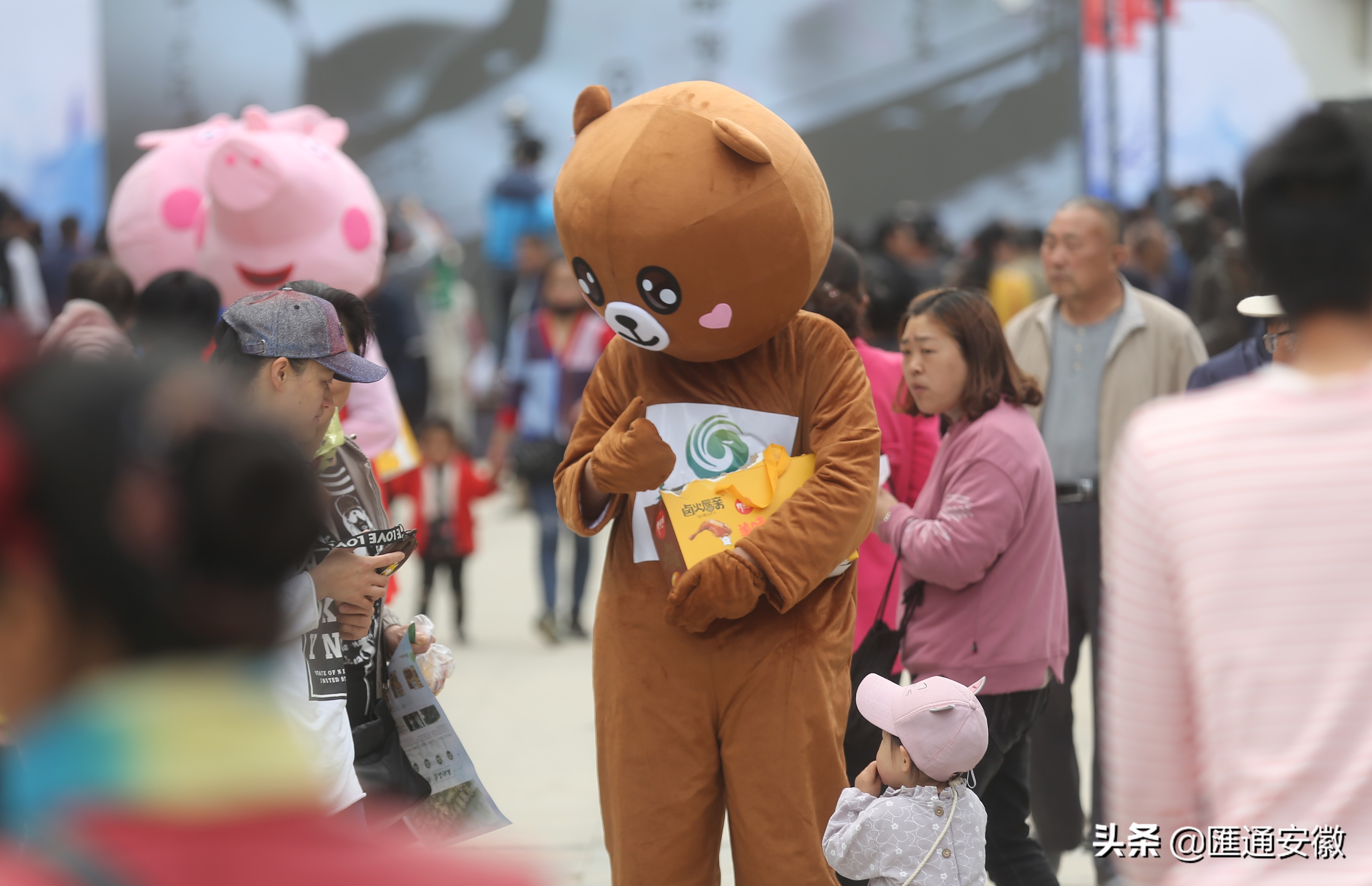淮北食品博览会时间表,淮北食品博览会时间表下午