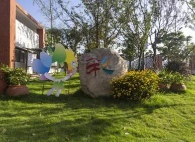 天府新区华阳小学：校园那么美，萌娃来打卡