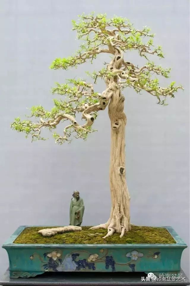 骞哥涔呬箙鐢滅敎铚滆湝,骞哥涔呬箙