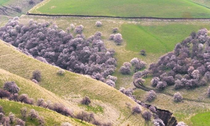 你永远不会体会到*疆新**公路的风情万种,除非你亲自自驾到那里!