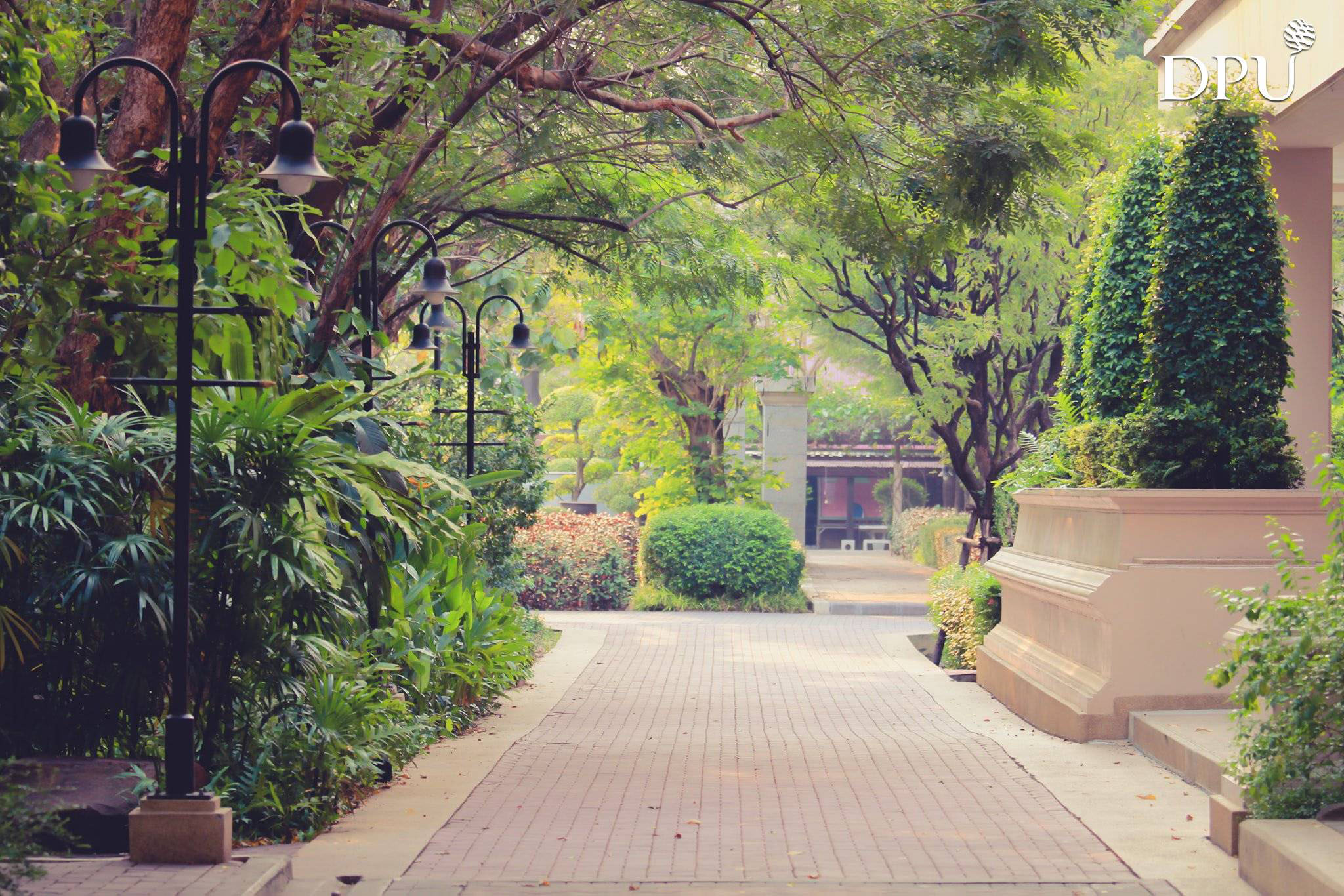 中国教育部承认的泰国大学文凭,被教育部认可的泰国大学