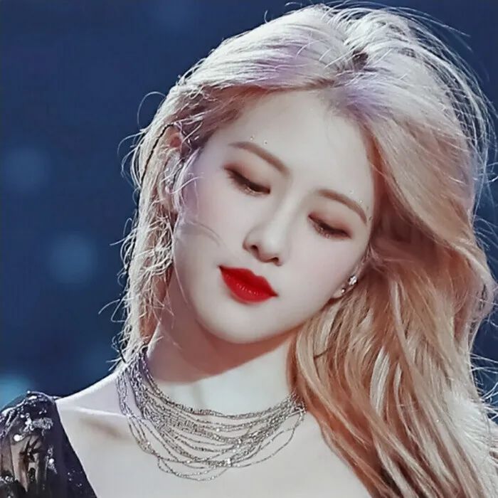 rose朴彩英头像壁纸,rose澳洲野玫瑰动态壁纸